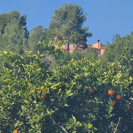 Chateau Angelique Pensionat Valencia Exteriör bild